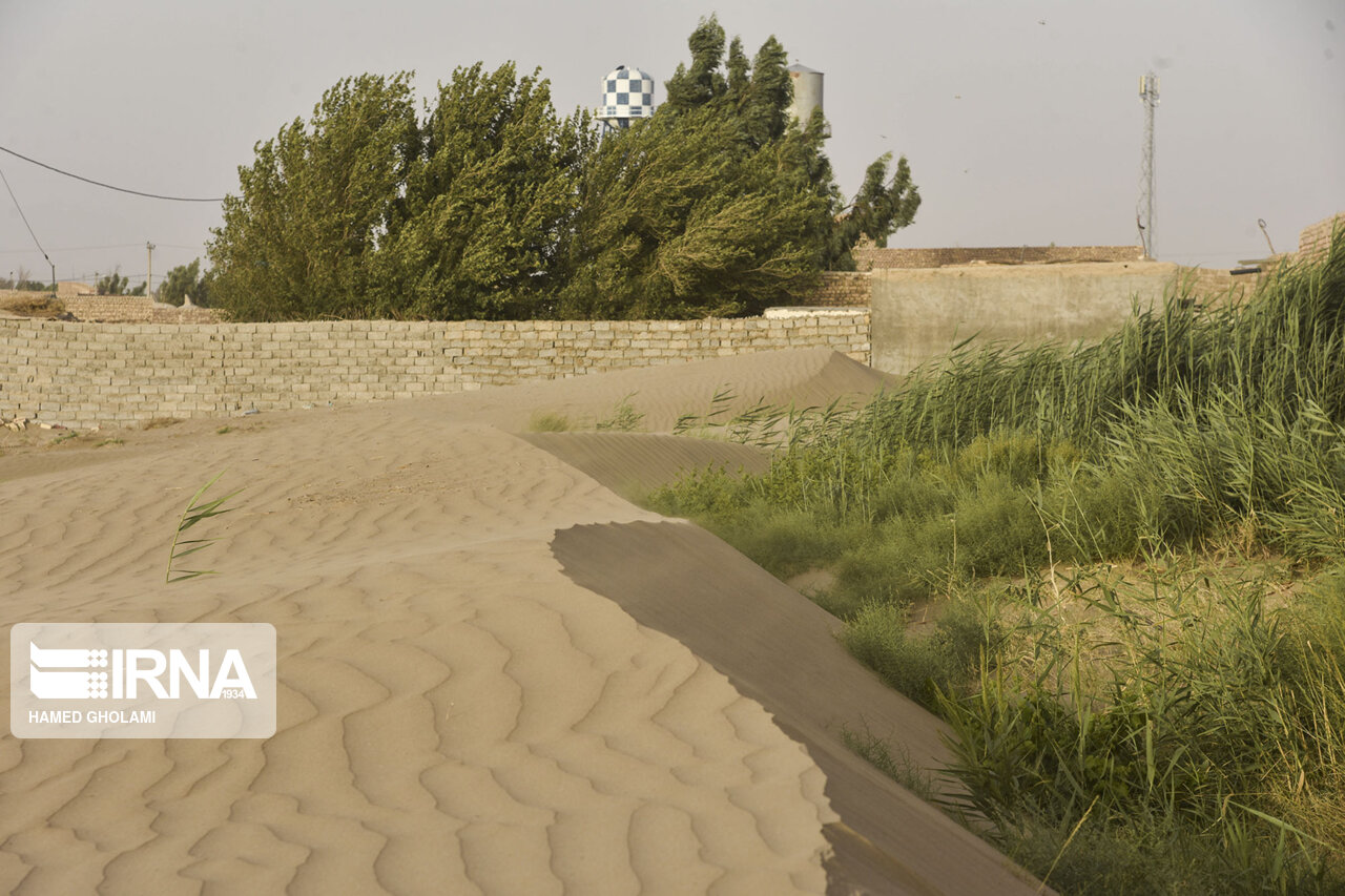 رییس سازمان جنگلها: بیش از هشت میلیون هکتار از عرصه های کشور تثبیت شد