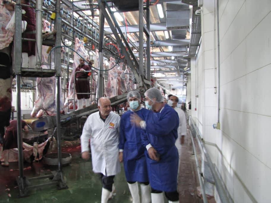 زمانی: نظارت مستمر بر کشتارگاههای دام ضامن سلامت عمومی است