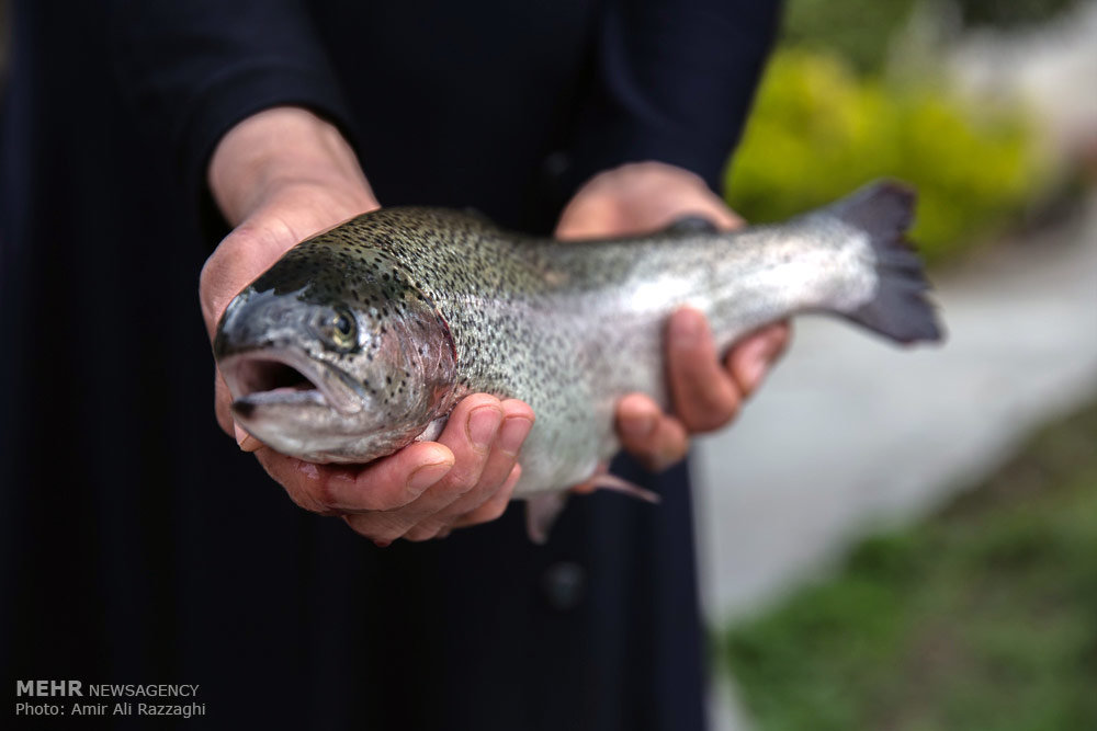 زمینلرزه ۳۰ میلیارد ریال به آبزیپروری اندیکا خسارت زد