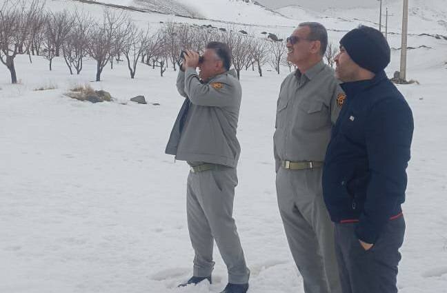 زندی: سرشماری زمستانه حیات وحش کردستان با موفقیت انجام شد