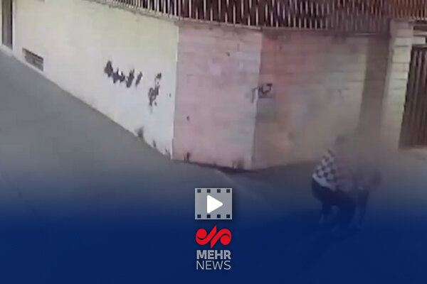 زورگیری خشن از دختر جوان در ستارخان تهران