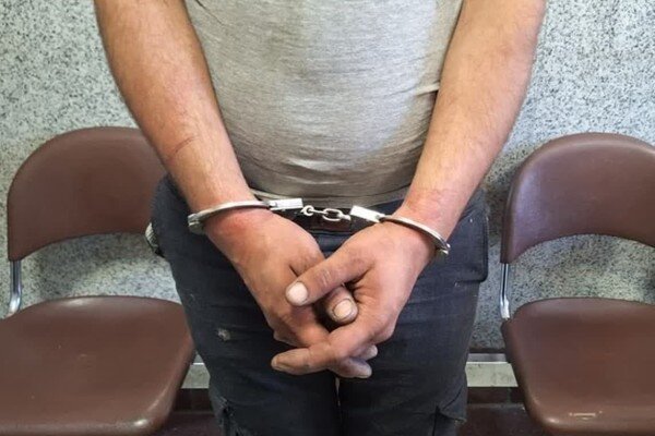 سارق سابقهدار تهرانی در دامغان دستگیر شد