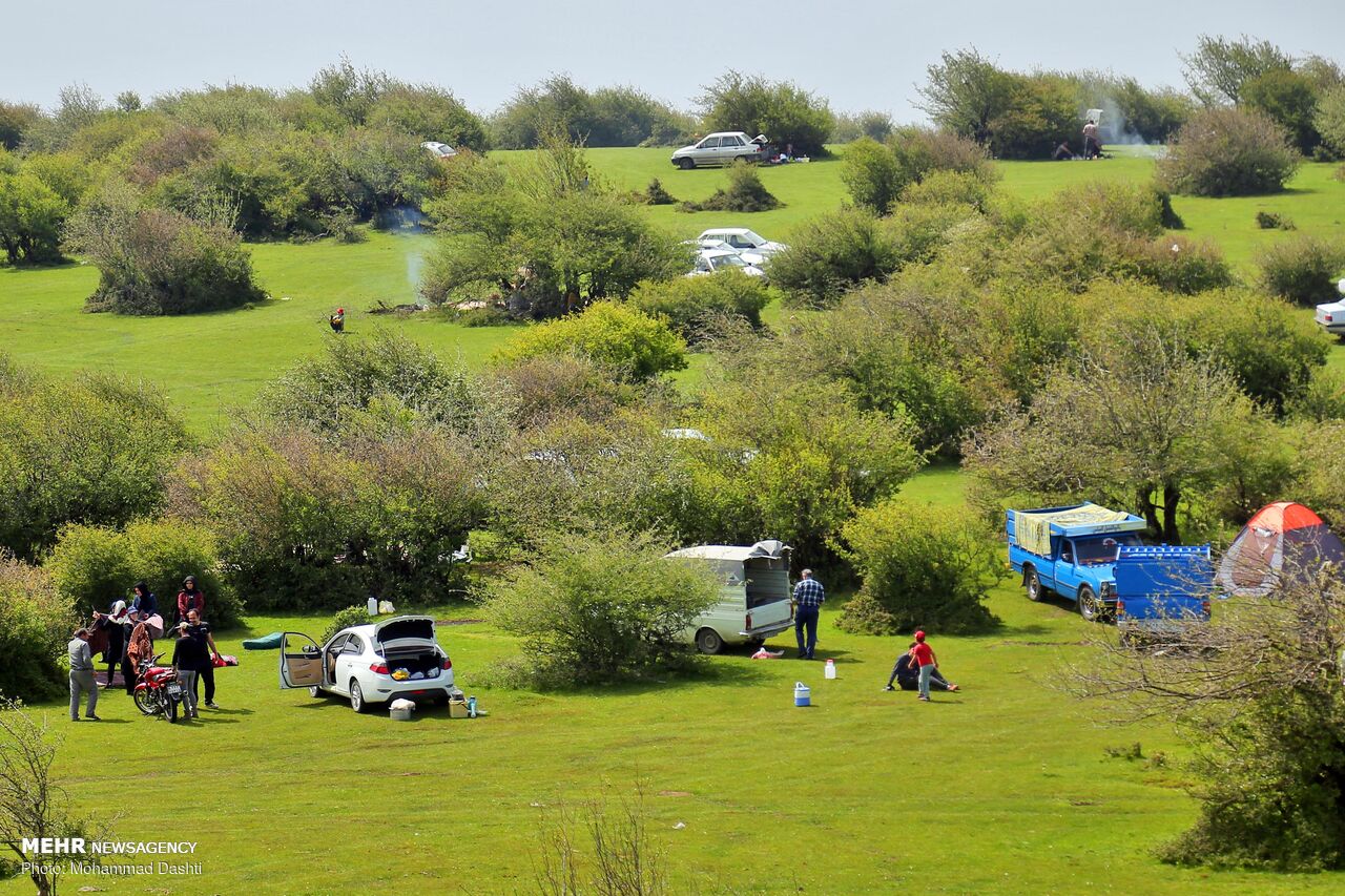 سبزگرایی در گردشگری با تیغ دولبه/ چند راهکار برای تحقق شعارWTO