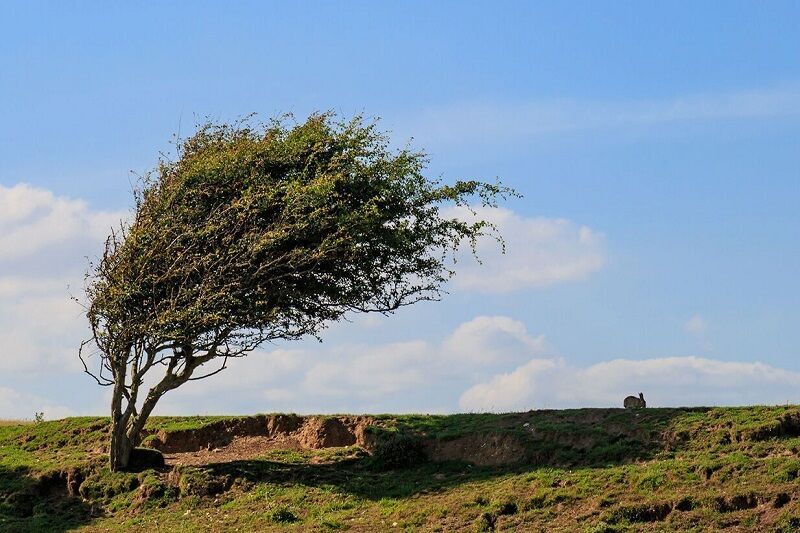 سرعت وزش باد در کامیاران به ۶۸ کیلومتر بر ساعت رسید