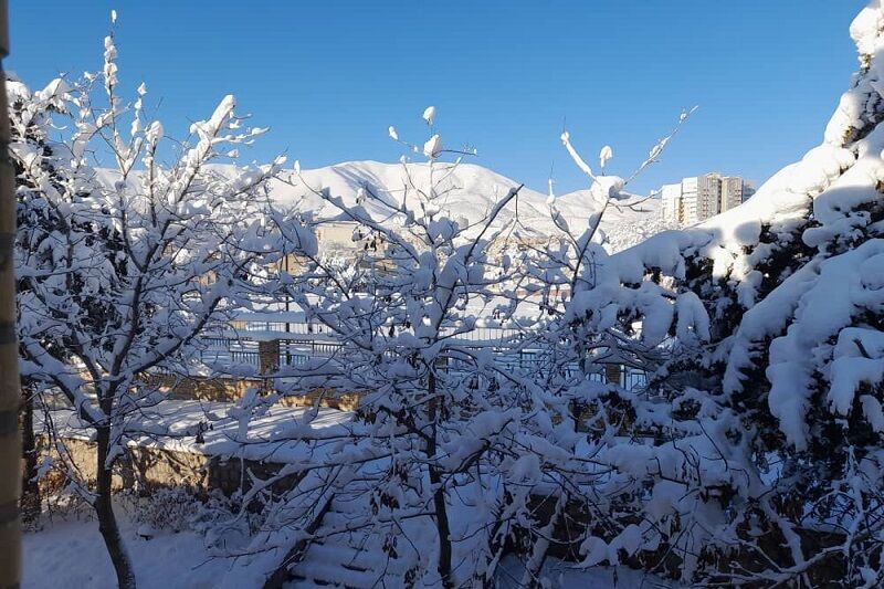 سرمای سنندج سخت سوزان است