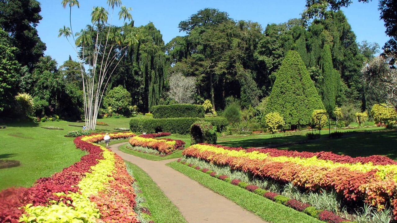 سرمایهگذاری ۱۵ میلیون دلاری برای احداث باغ گیاهان استوایی در تهران