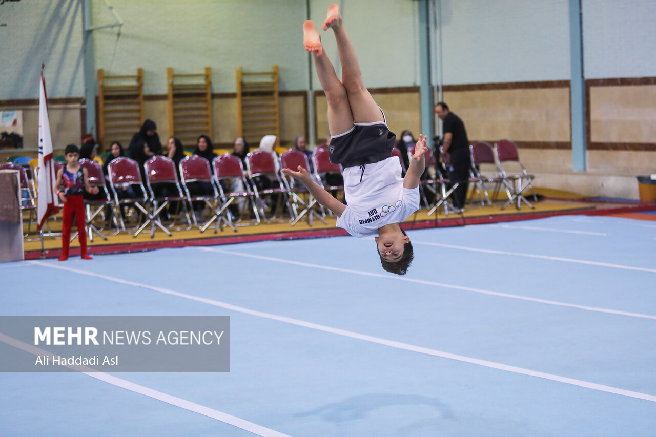 سرپرست جدید فدراسیون ژیمناستیک معرفی شد/ طلسم مجمع شکسته می‌شود؟