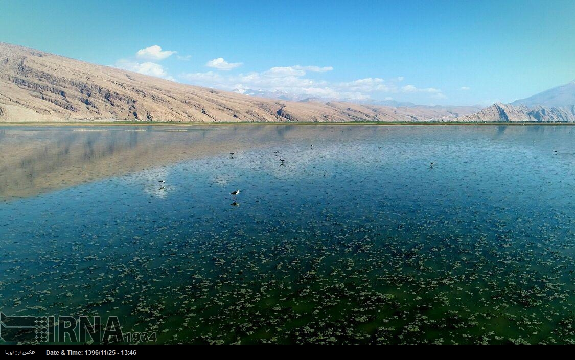 سطح آب در تالاب میانگران ایذه به پایین‌ترین حد ۱۰ سال گذشته رسید