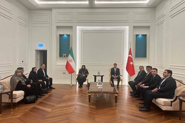 سفر رئیس سازمان حفاظت محیط زیست به ترکیه