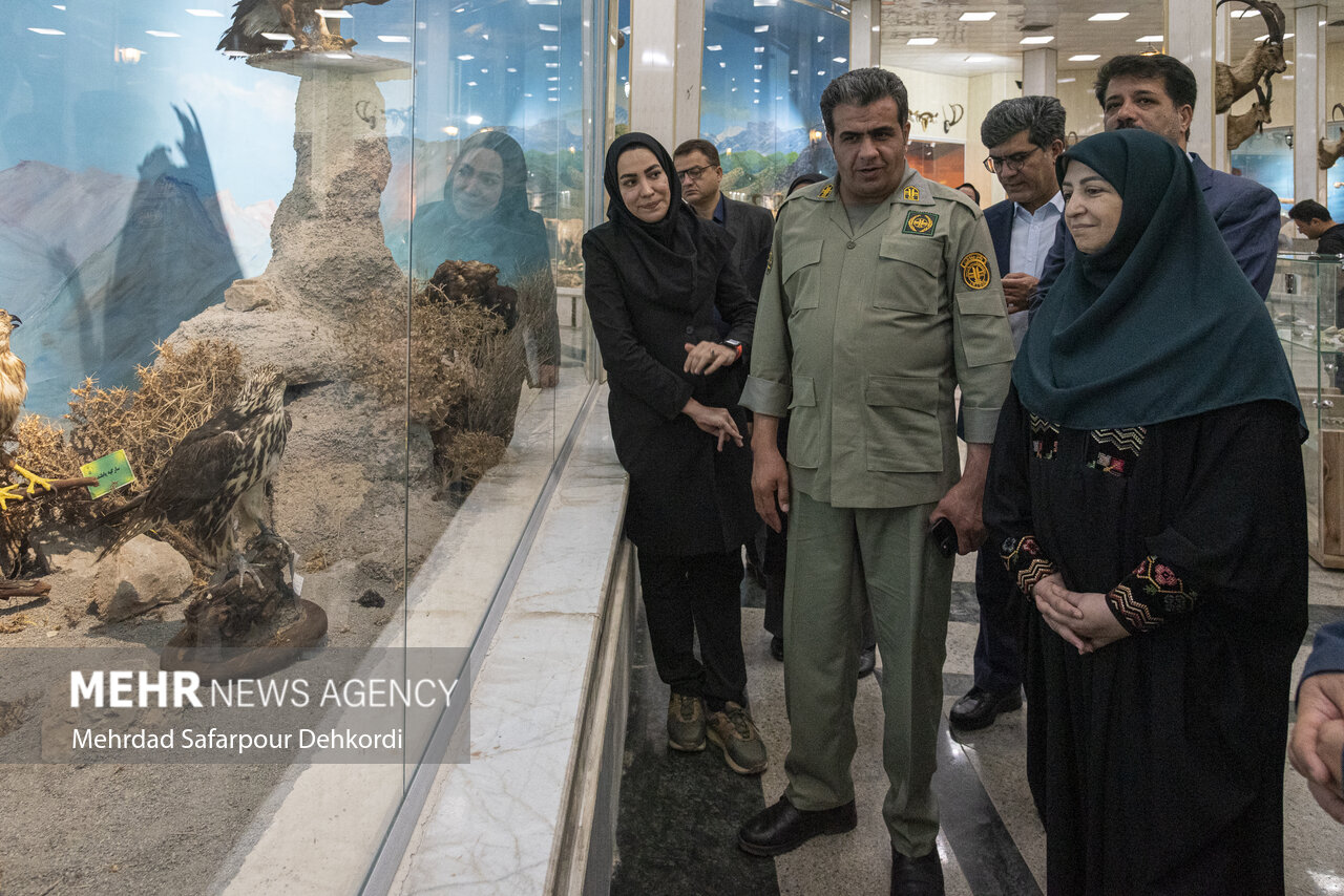 سفر رئیس سازمان محیط زیست به استان چهارمحال و بختیاری