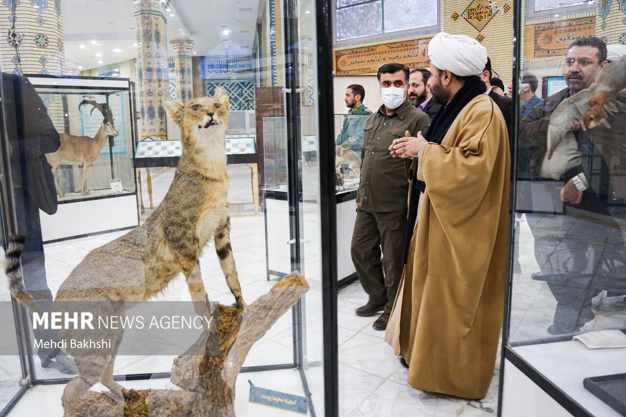سفر رئیس سازمان محیط زیست به قم