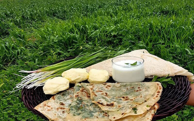 سفره‌ای به رنگ فرهنگ؛ گردشگری غذا در کردستان و طعم ماندگار کلانه