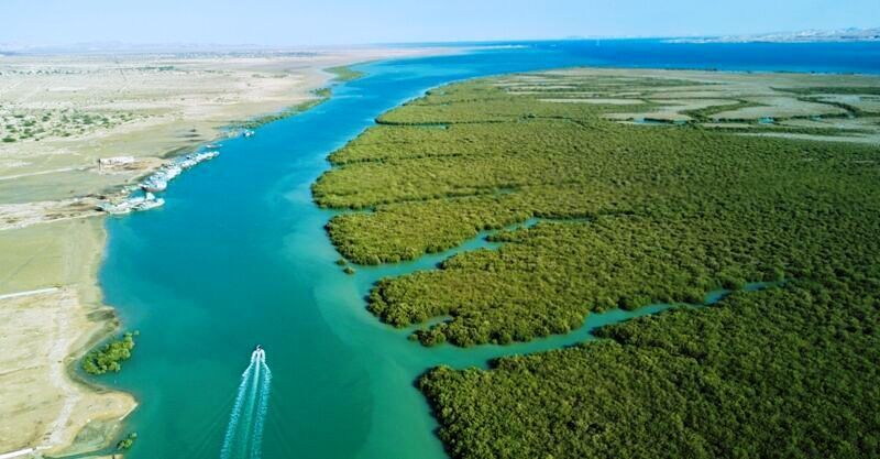 سلاجقه: وزارتخانه‌های خارجه و نیرو حقابه تالاب هامون را پیگیری می‌کنند