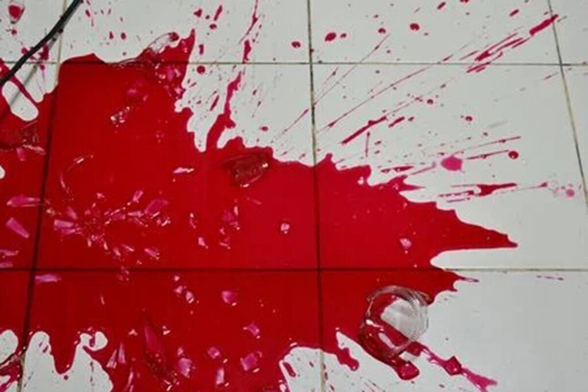 سلاح غیر مجاز پدر، خانواده قاتل جانش شد