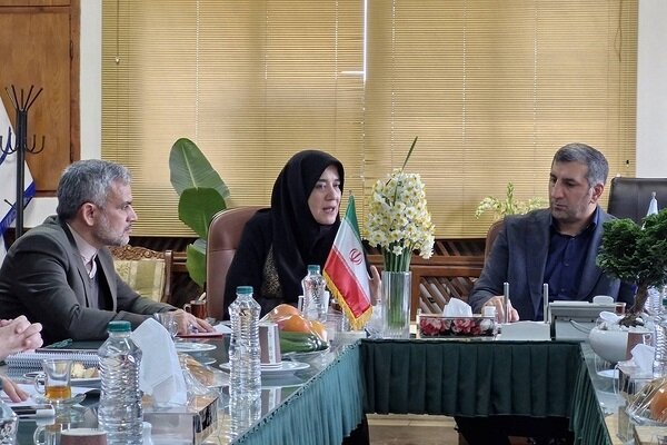 سند توسعه صنایعدستی به زودی رونمایی میشود