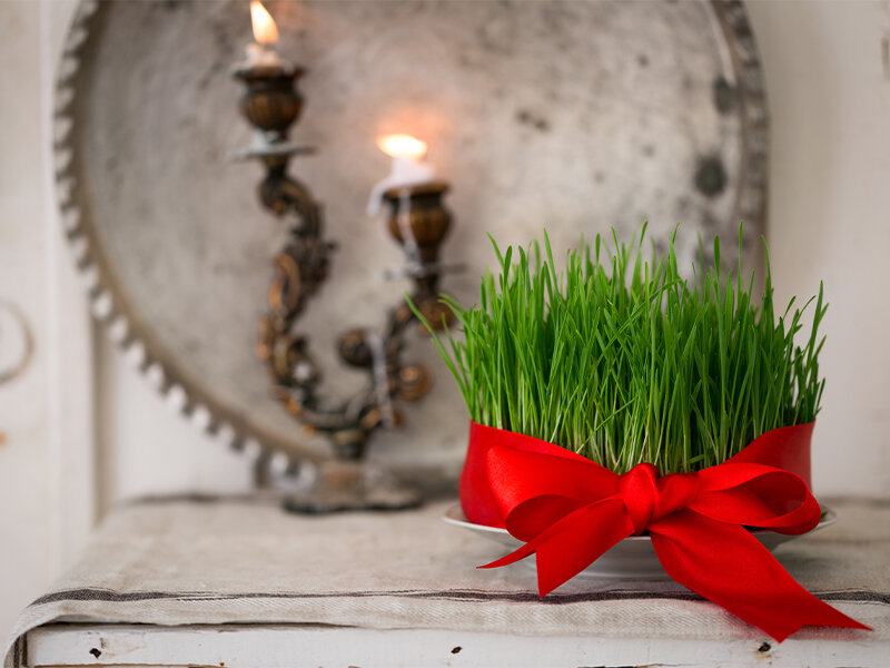 سیزده به در؛ فرصتی برای گره زدن سبزه زندگی به طبیعت