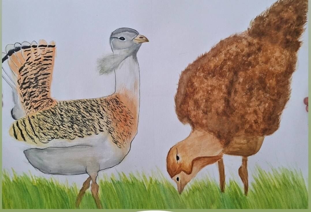 شریفی: مسابقه نقاشی با محوریت «میش مرغ» در سقز برگزار شد