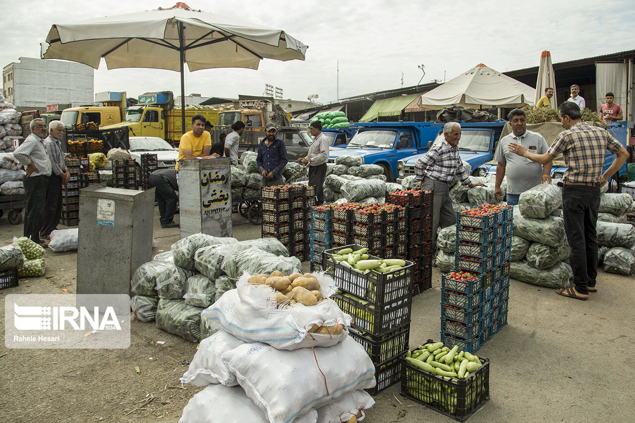 شناسنامه‌دار شدن ۵ محصول زراعی و باغی/ کاهشی شدن قیمت محصولات کشاورزی با خرید مستقیم