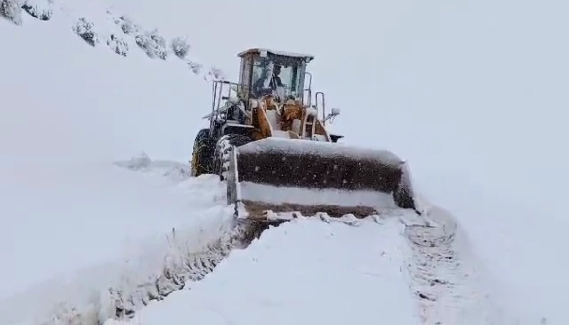 شکری: ۱۲ هزار خودرو طی بارش‌های سال‌جاری در کردستان رهاسازی شدند
