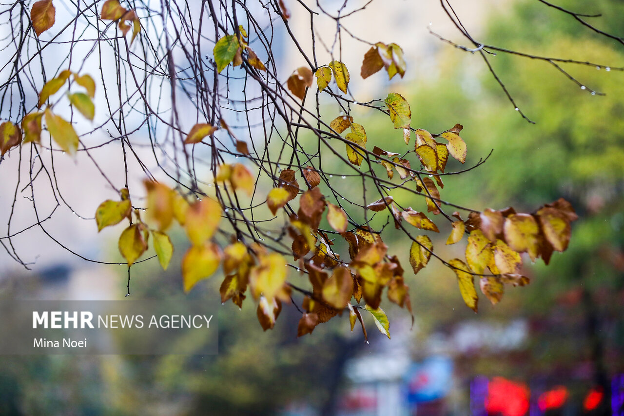 صابری: فعالیت سامانه بارشی در آذربایجان غربی تشدید می شود