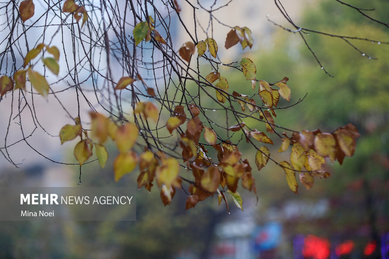 صابری: ورود سامانه بارشی به آذربایجان غربی؛بارش برف و باران در راه است
