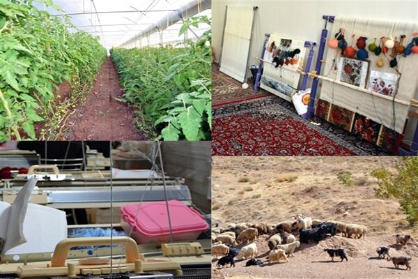 صادرات مدل اشتغال‌زایی بنیاد علوی به آفریقا