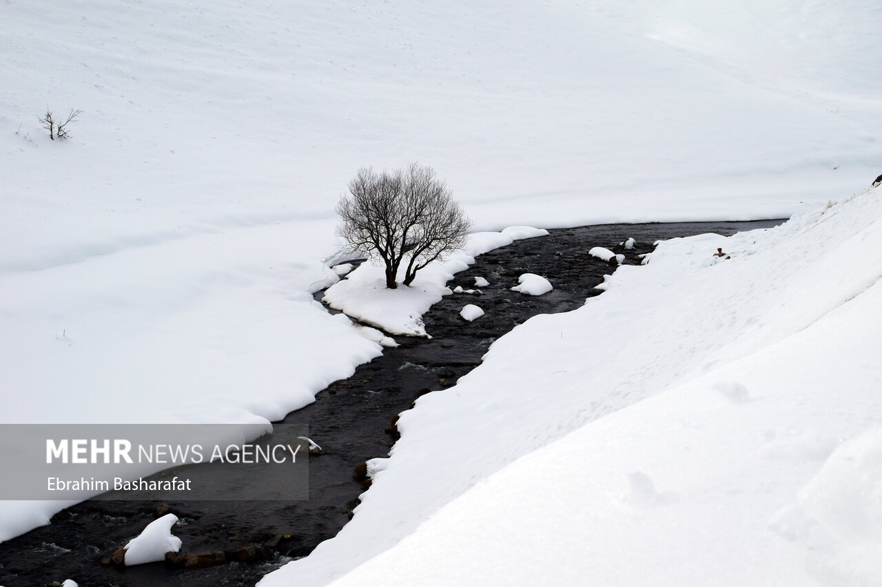طبیعت برفی شهرستان مرزی اشنویه