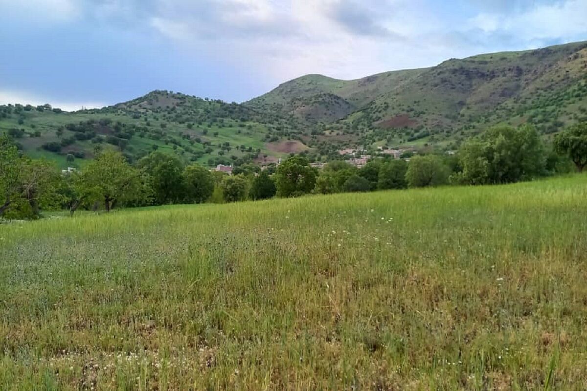 طبیعت روستای ژریژه در محور ژاورود سروآباد