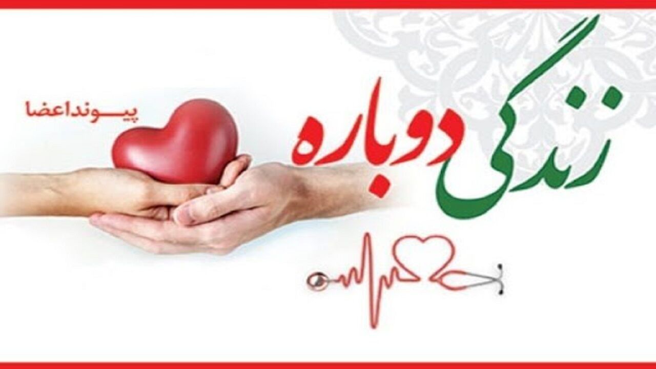 طی هشت سال اخیر ۲۳۱ مورد اهدای عضو در گیلان انجام شد