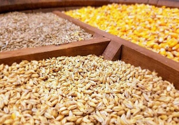 عتباتی: نهاده های دامی از گمرکات آذربایجان غربی ترخیص شود
