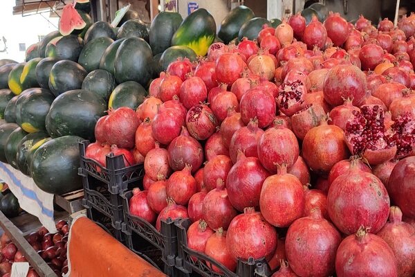 عرضه میوه شب یلدا در قالب پنج غرفه در سنندج آغاز شد