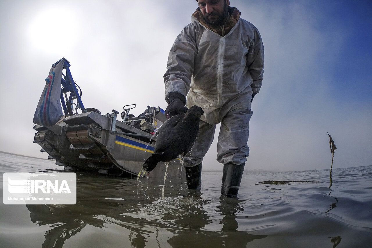 عزم جدی دولت سیزدهم در رفع مشکل تالاب میانکاله