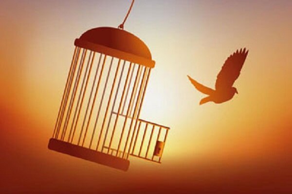 عفو ۱۴۵ هزارو ۸۰۷ زندانی در سال گذشته