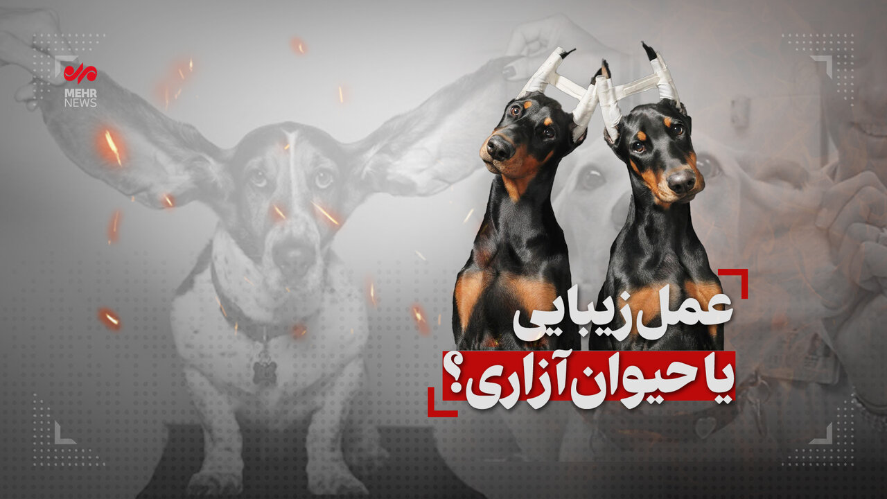 عمل زیبایی یا حیوان آزاری؟!