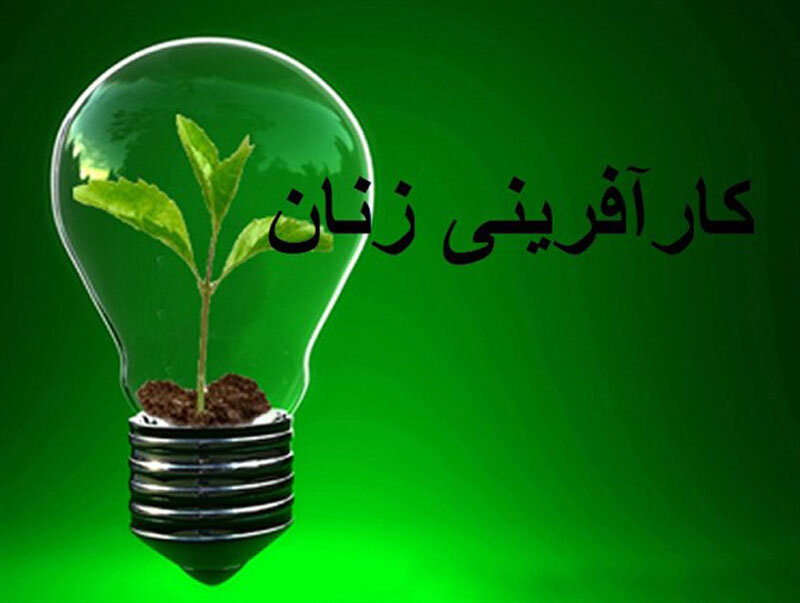 غیرتمندی بین زنان کرد فریاد میزند؛ کارآفرینی عامل رونق تولید