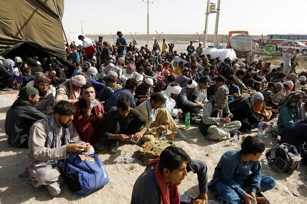 فرمانده انتظامی زاهدان: ۳۳۱ نفر تبعه بیگانه غیرمجاز جمع آوری شدند