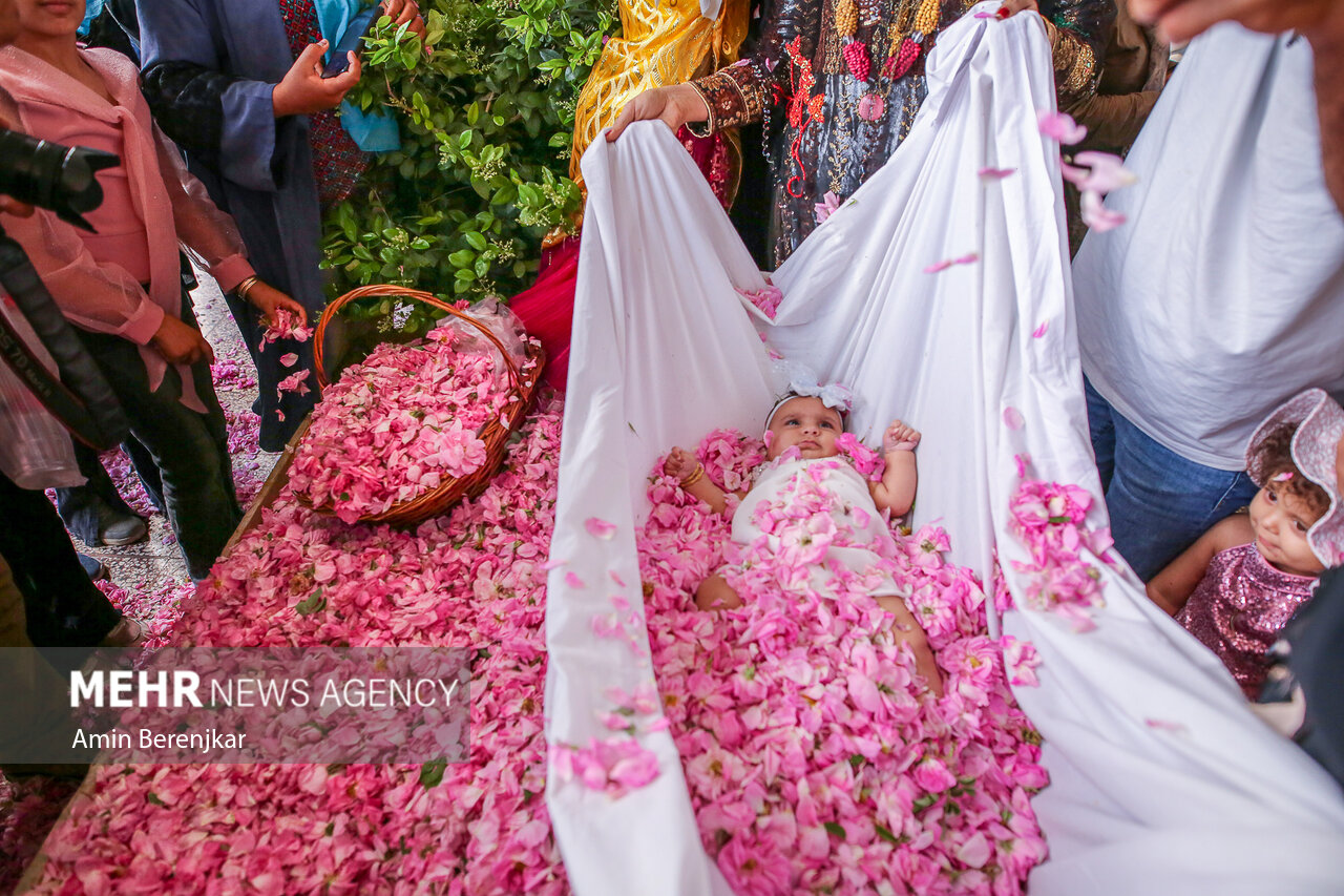 فصل گل و گلاب شهرستان میمند فارس