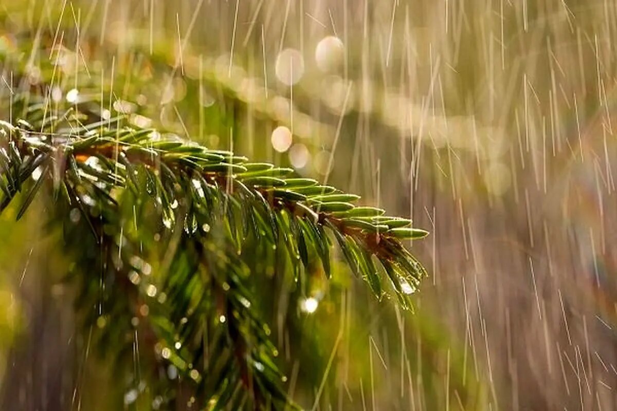 فعالیت سامانه بارشی در آذربایجان غربی امروز چهارشنبه تشدید می شود