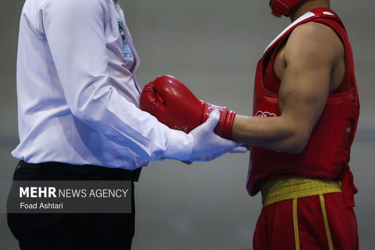 فینال لیگ برتر ووشو