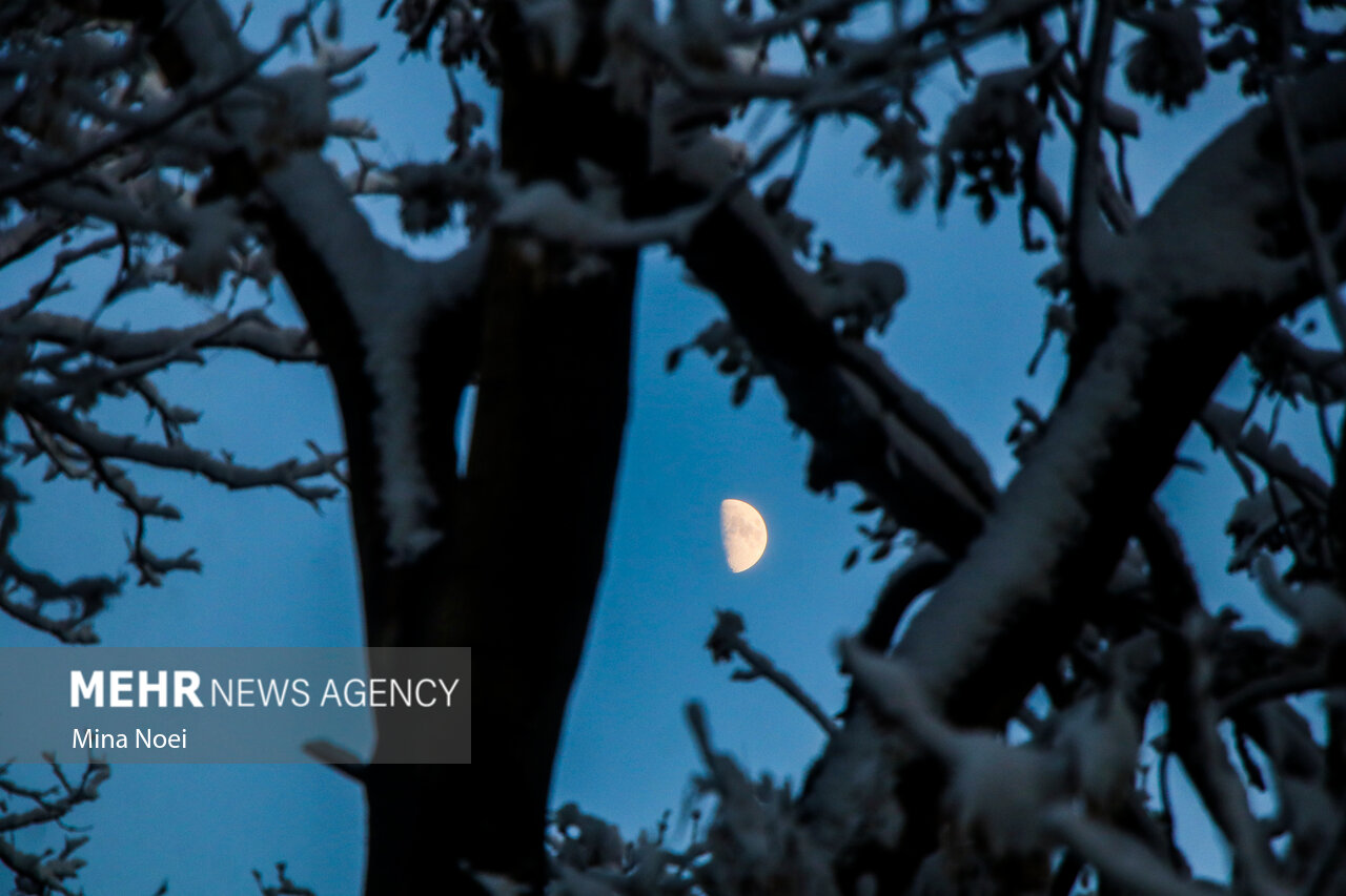 قاملو در کردستان با منفی هشت درجه سردترین نقطه کشورشد