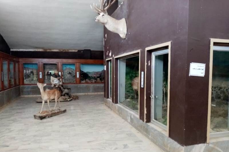 قدیمی ترین پاسگاه محیط بانی و نخستین موزه تاریخ طبیعی کشور در گلستان احیا میشوند