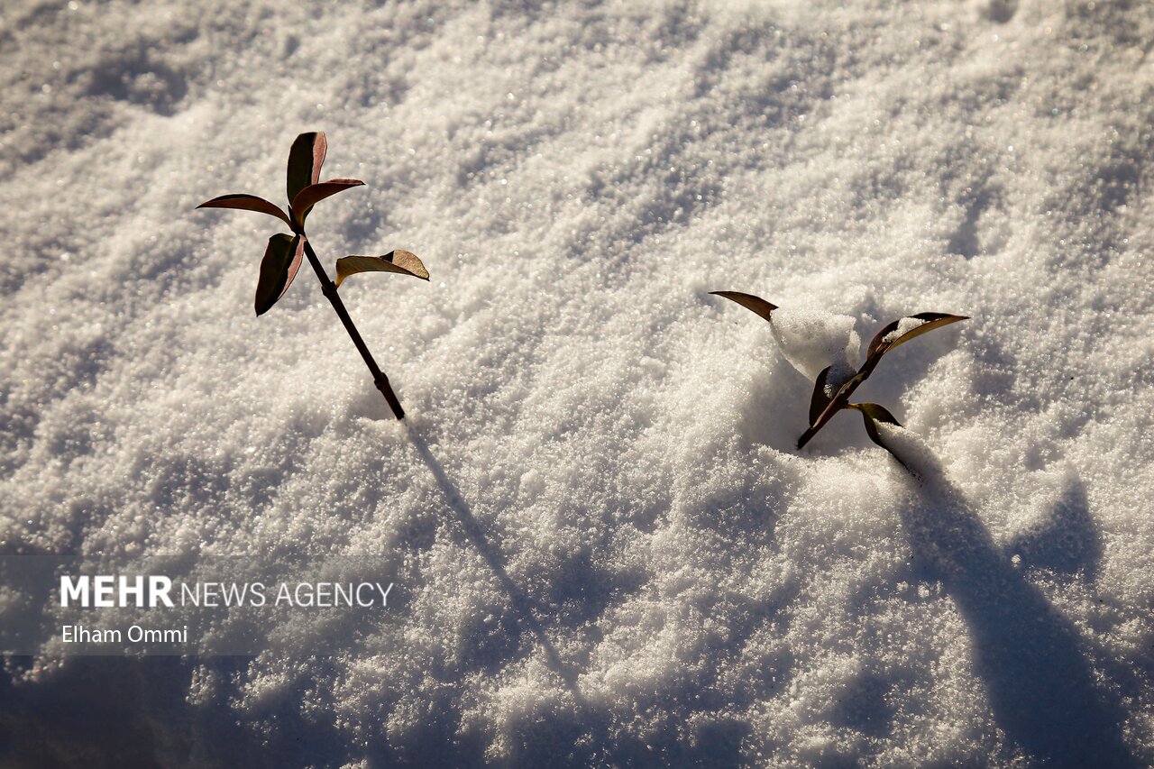 قربان پور: سامانه بارشی یکشنبه وارد آذربایجان غربی می شود