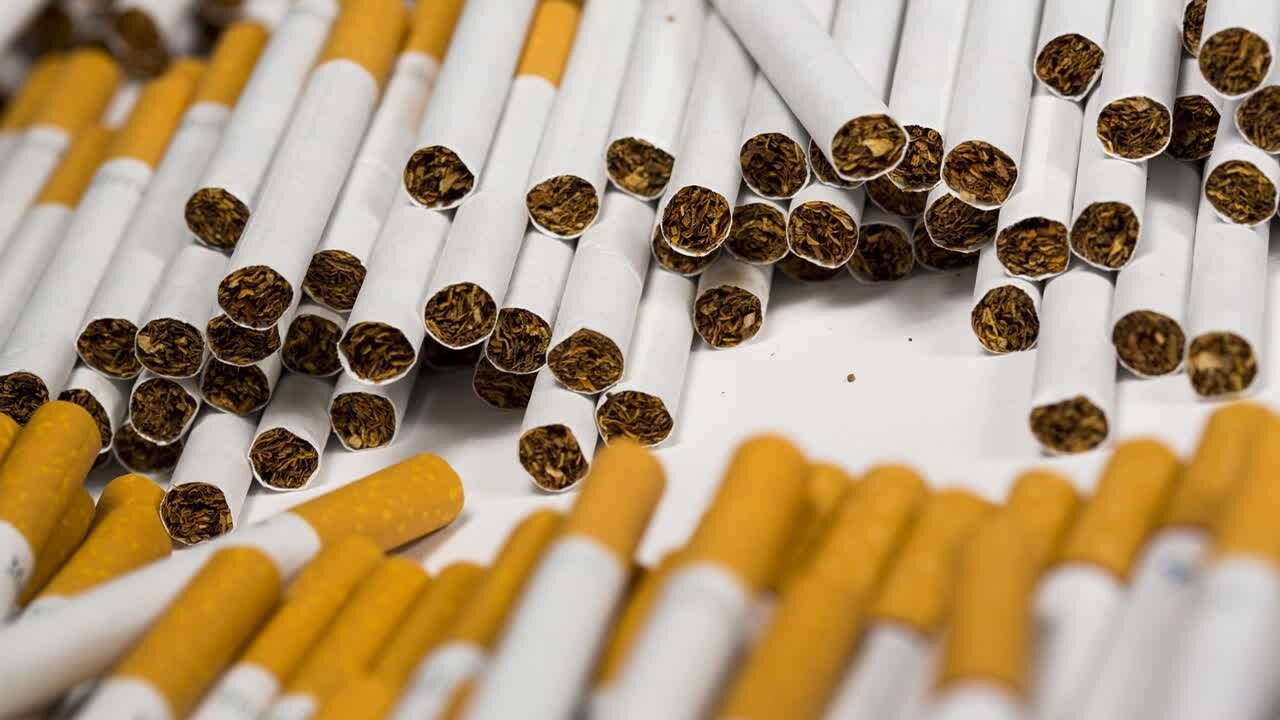 قلی زاده: بیش از ۱۴۸ هزار نخ سیگار فاقد مجوز در تکاب کشف شد