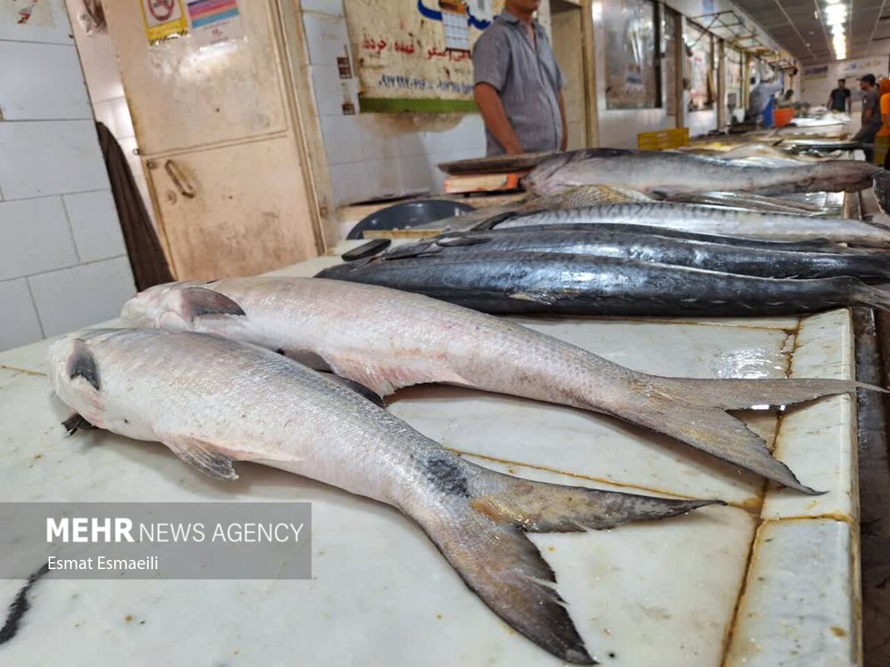 قیمت انواع آبزیان در میادین و بازارهای میوه و تره بار تهران