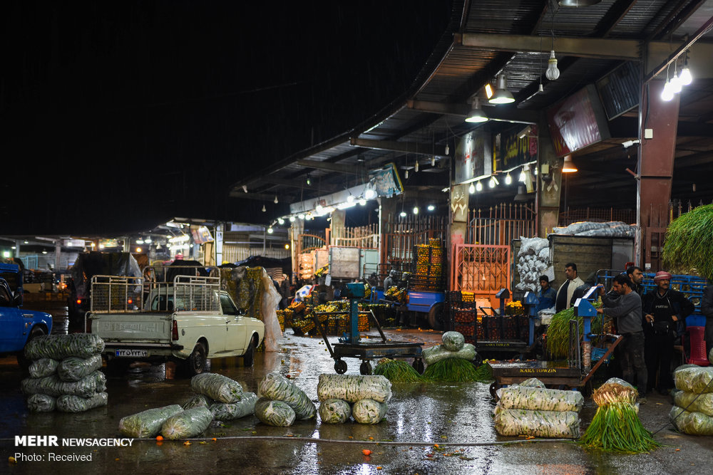 قیمت «جوجه آخر پاییز» در میادین میوه و تره بار