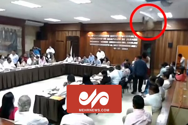 لحظه سقوط ۲ حیوان به سالن کنفرانس شورای شهری درمکزیک