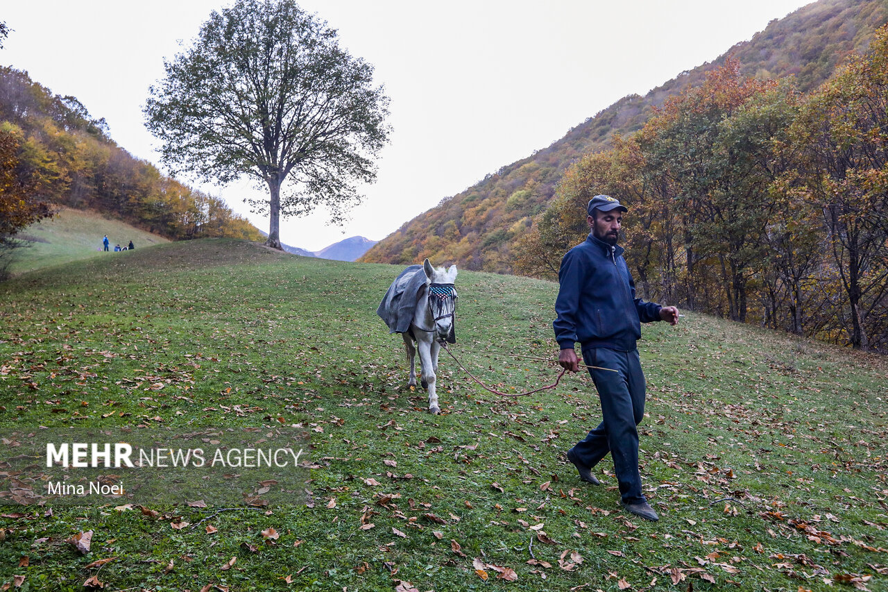 لزوم همکاری مردم برای حفاظت از گونههای نادر و حیات وحش در کردستان