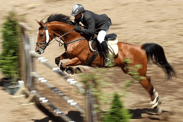 ما را به وزارت ورزش راه ندادند/ تصمیم در مورد مجمع قانونی نیست
