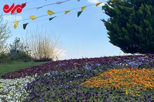 ماجرای فرود بلندترین پرچم ایران در تپه‌های عباس آباد