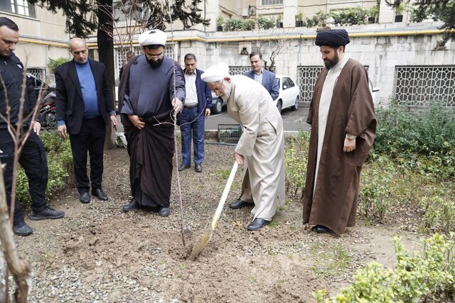 متظری: به زمین‌خواری و قلع و قمع درختان بدون مسامحه رسیدگی می‌کنیم